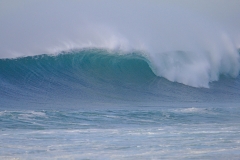 20181104_hossegor_surf_0086