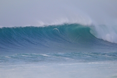 20181104_hossegor_surf_0088