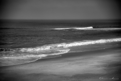 20190324_capbreton_plage_0003