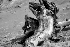 20190324_capbreton_plage_0009