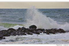 Capbreton - Le Prévent