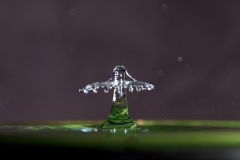 IMG_0185