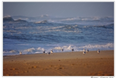 Hossegor