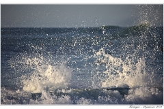 Surf - La Gravière - Hossegor