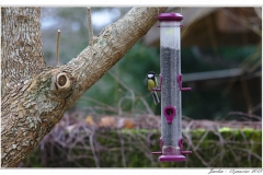 f_MV6C9679