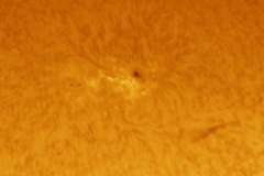 Soleil H-alpha du 18/06/2015